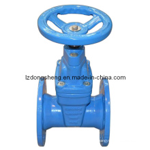 Hierro fundido DIN Pn16 Resilient Seated Gate Valves